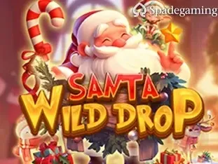 Santa Wild Drop icon